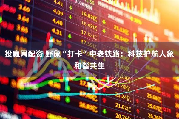 投赢网配资 野象“打卡”中老铁路：科技护航人象和谐共生