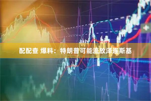 配配查 爆料：特朗普可能流放泽连斯基