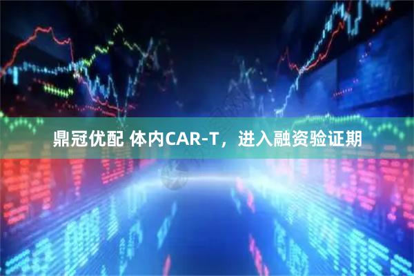 鼎冠优配 体内CAR-T，进入融资验证期